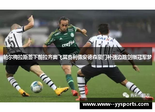 帕尔梅拉斯签下前拉齐奥飞翼费利佩安德森豪门补强边路剑指冠军梦